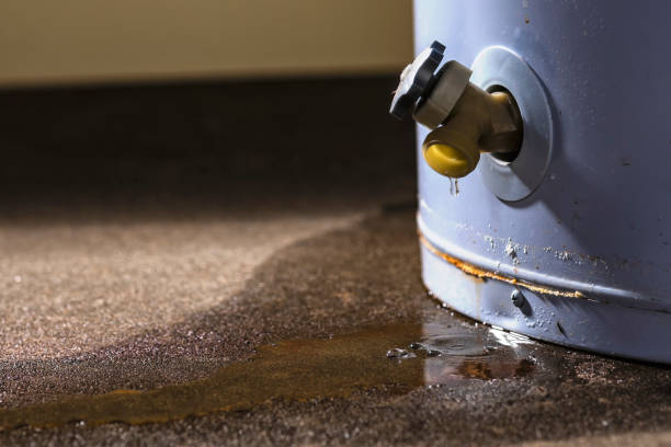Best 24/7 water damage repair  in Lander, WY