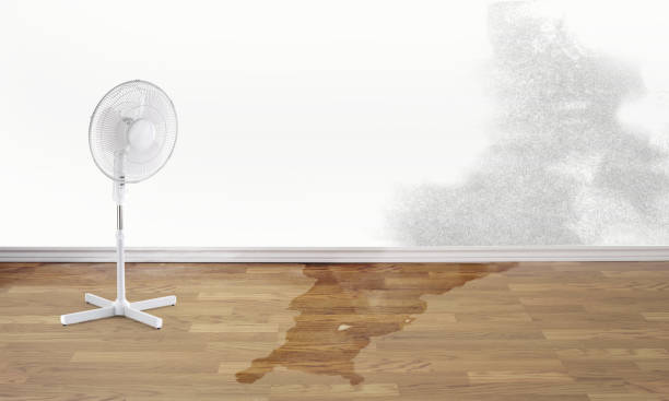 Best Water damage restoration company  in Lander, WY