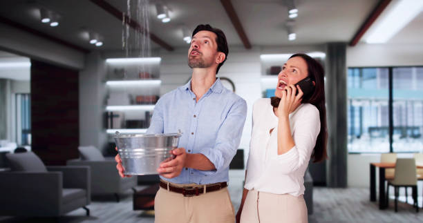 Best Flooded house restoration  in Lander, WY