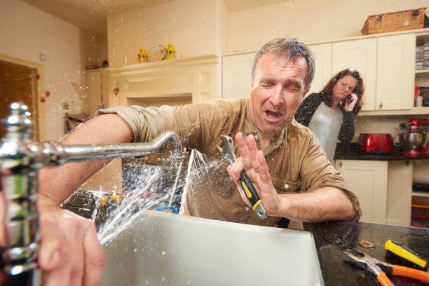 Best Basement water damage restoration  in Lander, WY